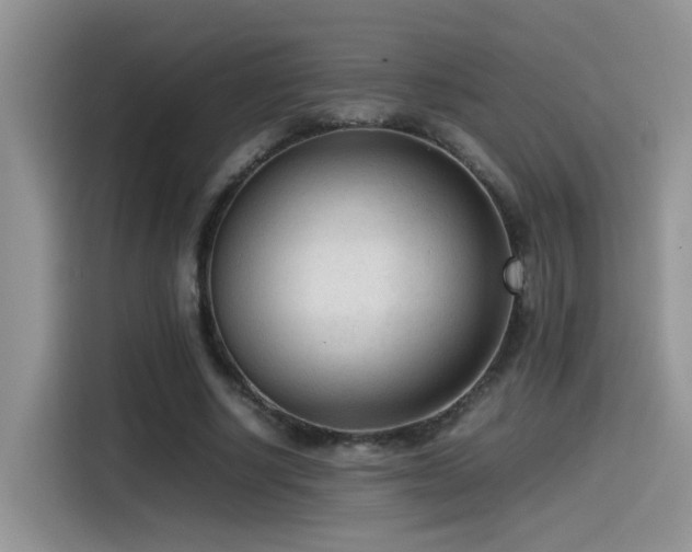 X0000115540634200911061501