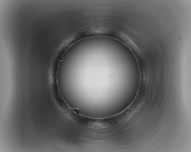 X0000115540635200911061501