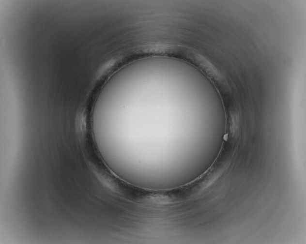 X0000115540636200911061501