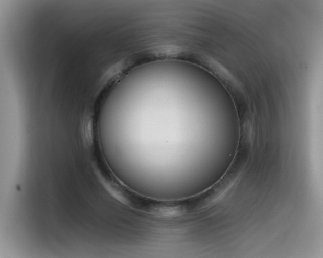 X0000115540638200911061501