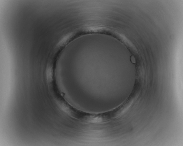 X0000115540640200911061501