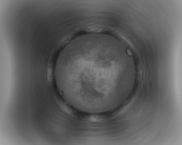 X0000115540641200911061501