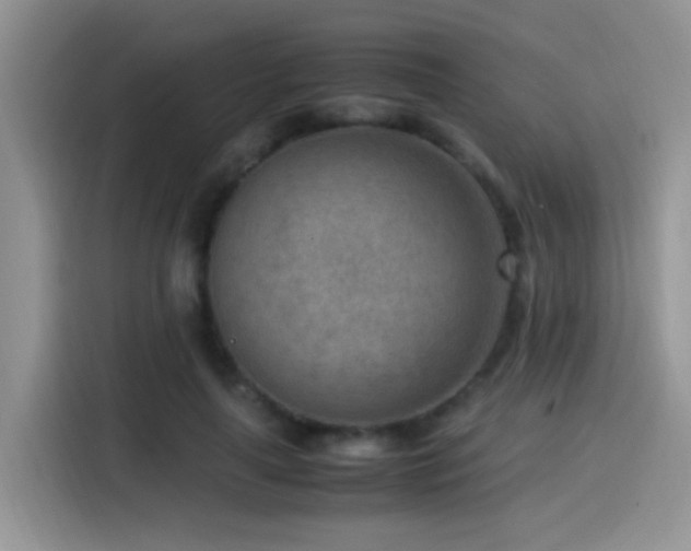 X0000115540643200911061501