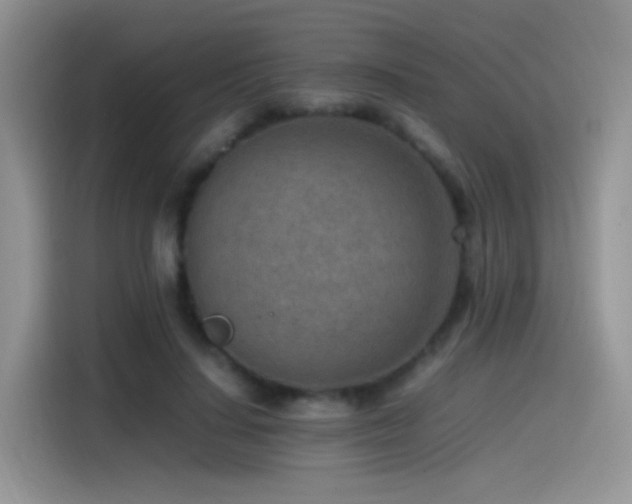 X0000115540644200911061501