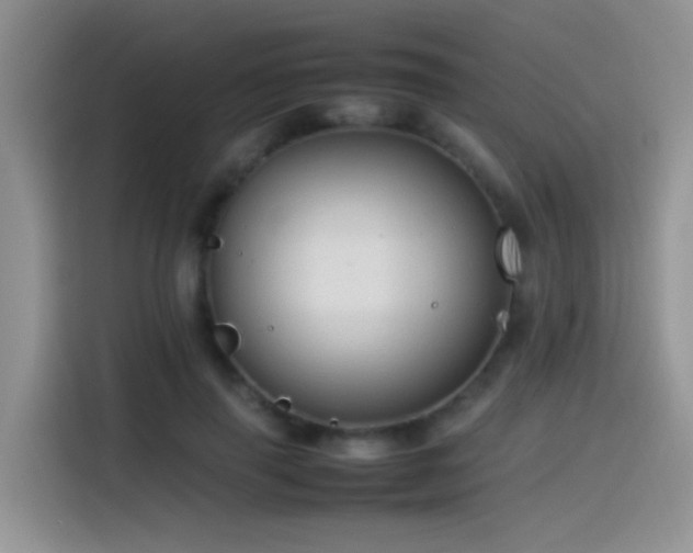 X0000115540645200911061501