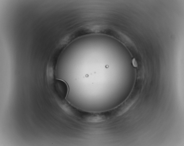 X0000115540646200911061501