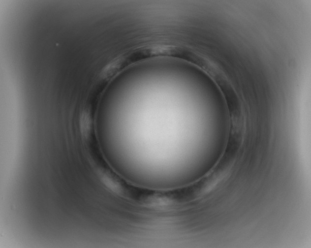 X0000115540648200911061501