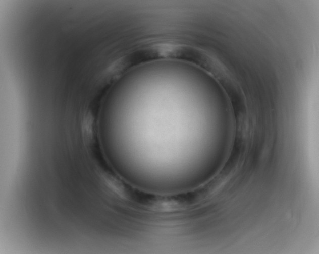 X0000115540650200911061501