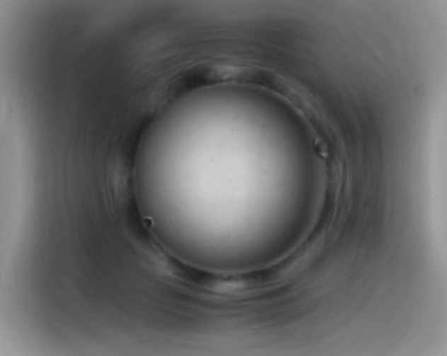 X0000115540653200911061501