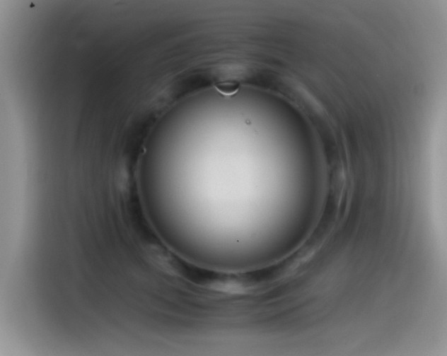 X0000115540655200911061501