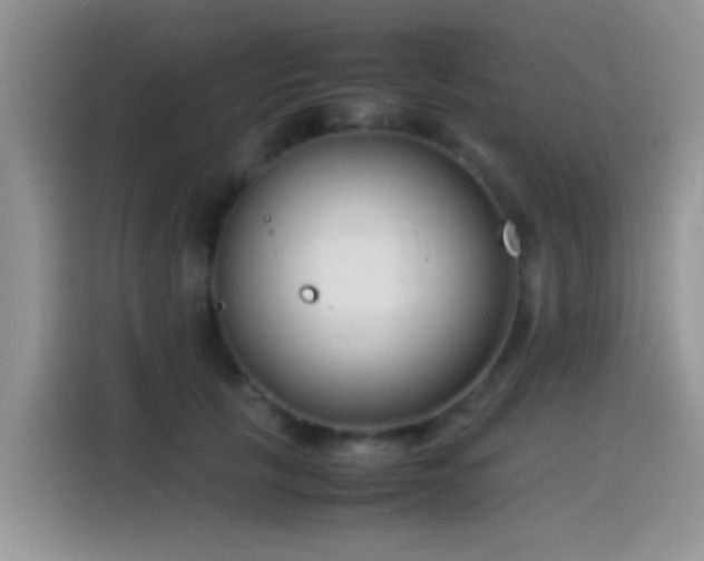 X0000115540657200911061501