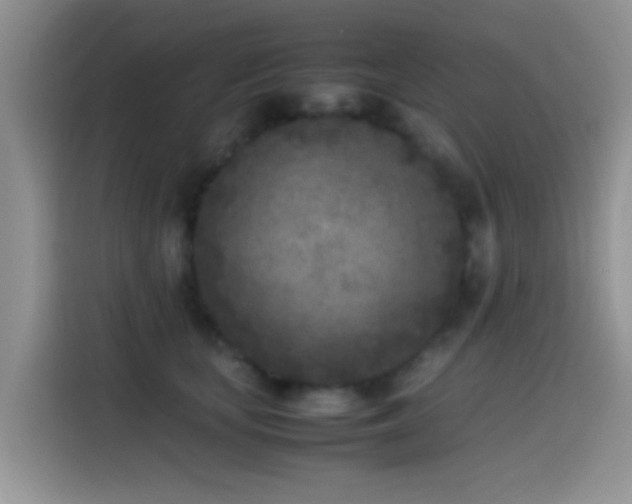 X0000115540659200911061501