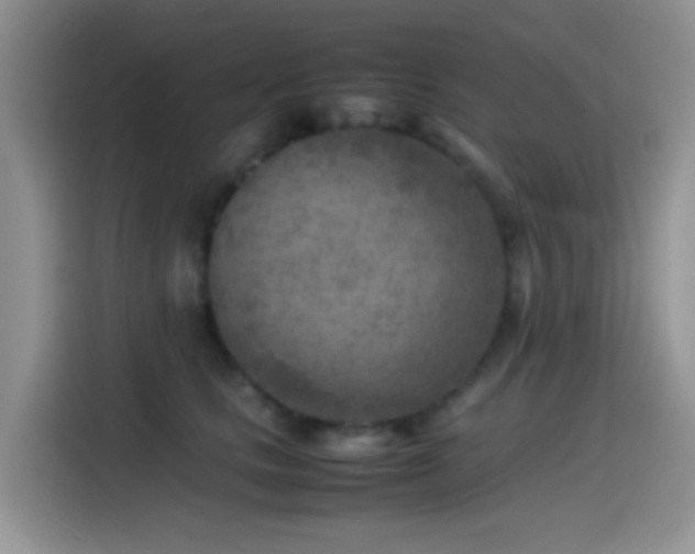 X0000115540661200911061501