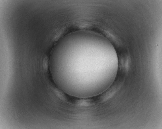 X0000115540664200911061501