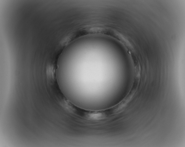 X0000115540669200911061501