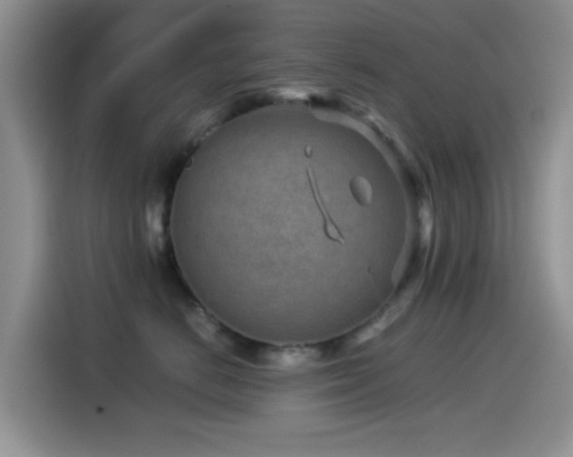 X0000115540670200911061501