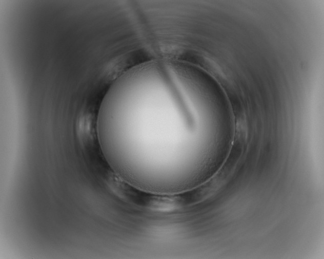 X0000115540671200911061501