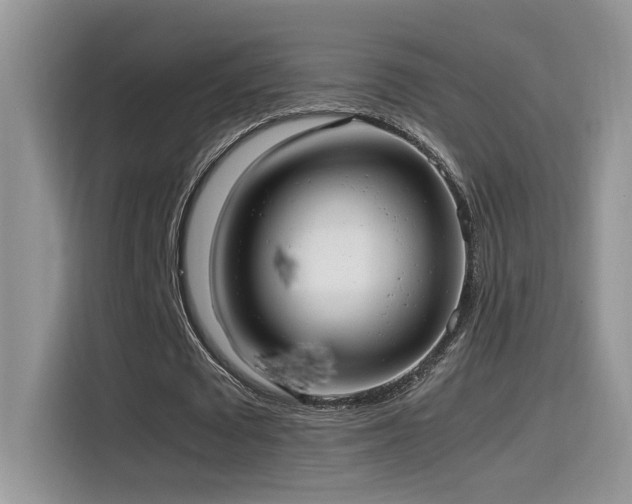 X0000115540673200911061501