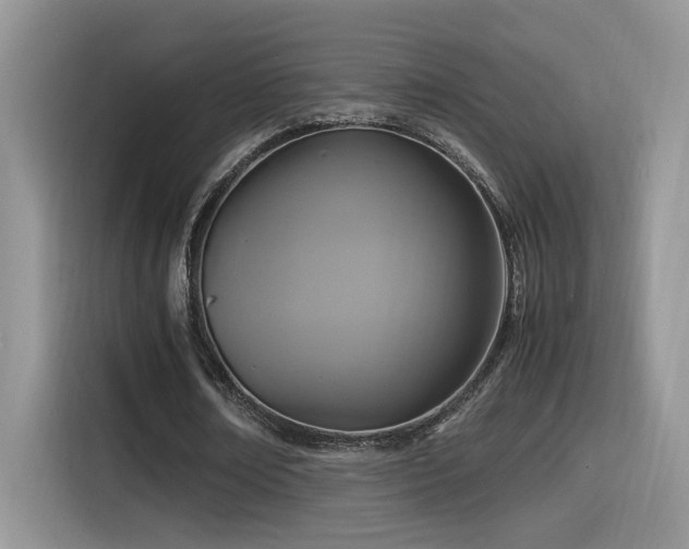 X0000115540674200911061501