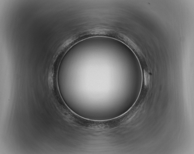 X0000115540675200911061501