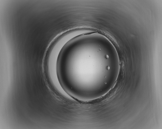 X0000115540676200911061501