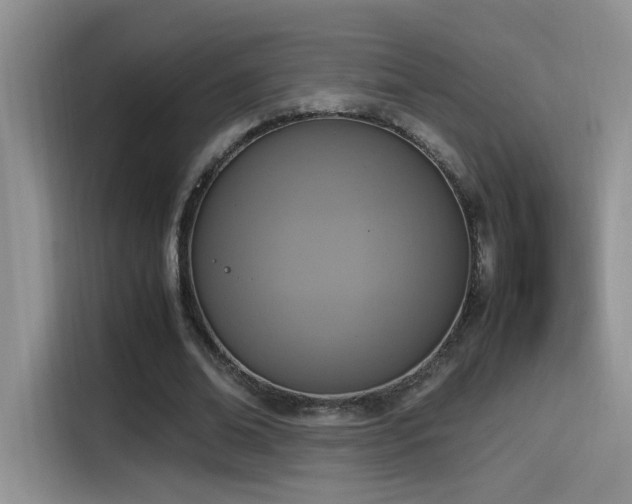 X0000115540678200911061501