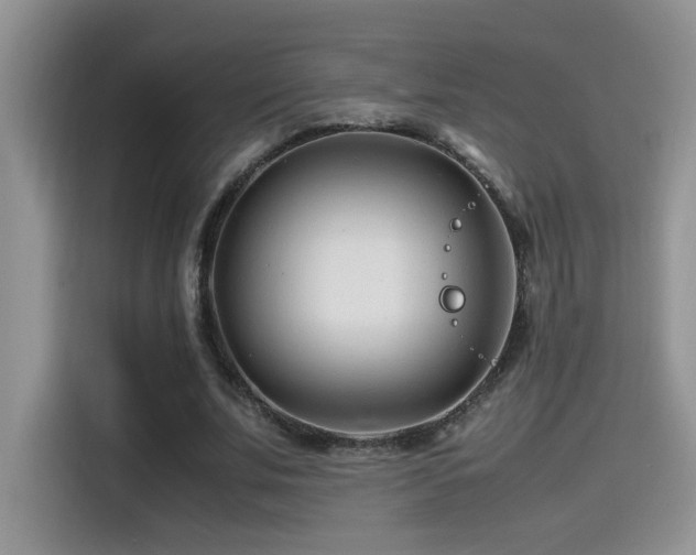 X0000115540679200911061501