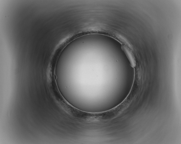 X0000115540680200911061500