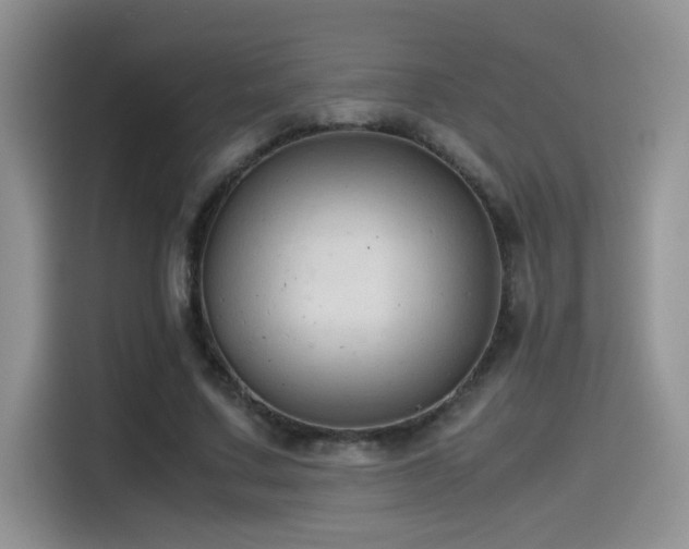 X0000115540683200911061500