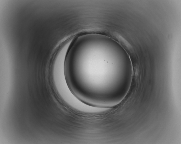 X0000115540684200911061500