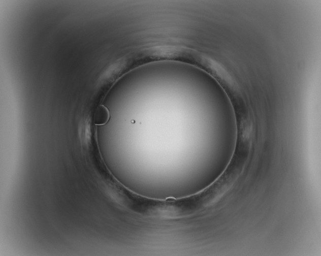 X0000115540685200911061500