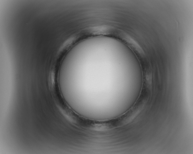 X0000115540686200911061500