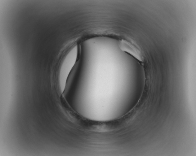 X0000115540688200911061500