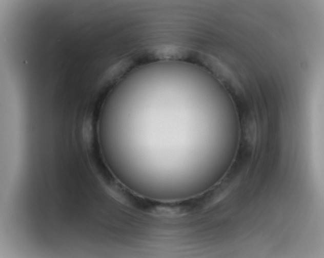 X0000115540690200911061500