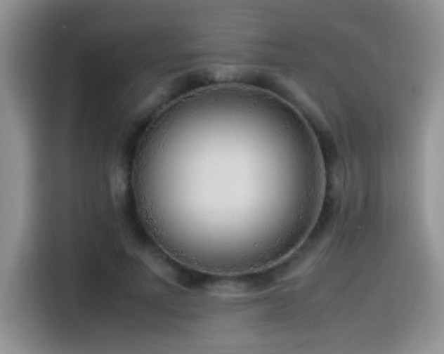 X0000115540691200911061500