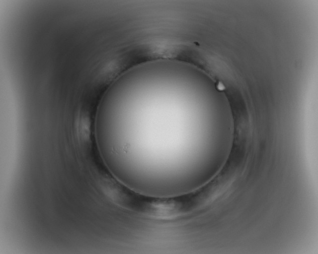 X0000115540693200911061500