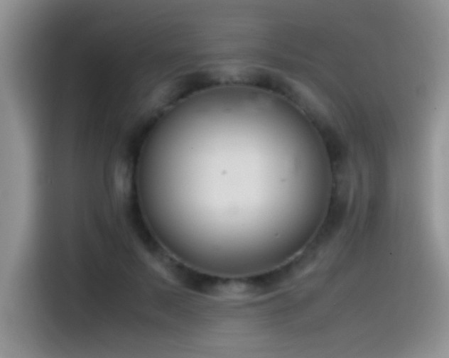 X0000115540695200911061500