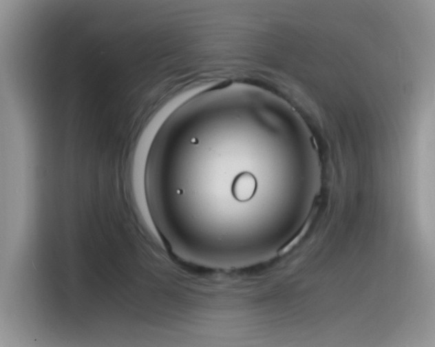 X0000115540697200911061500