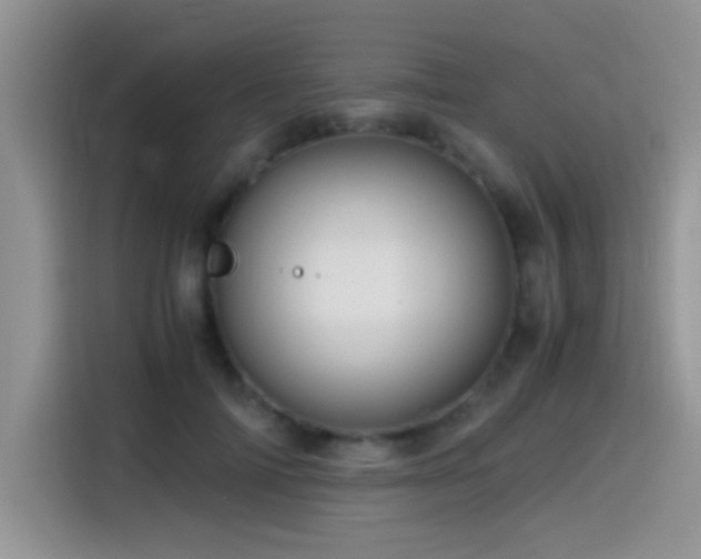 X0000115540698200911061500