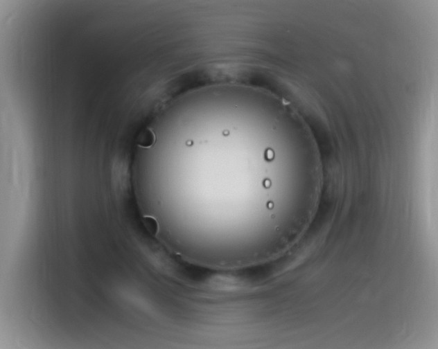 X0000115540699200911061500