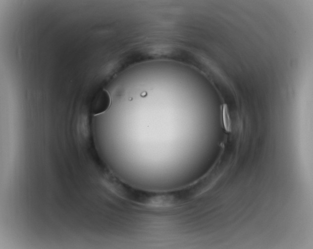 X0000115540700200911061500