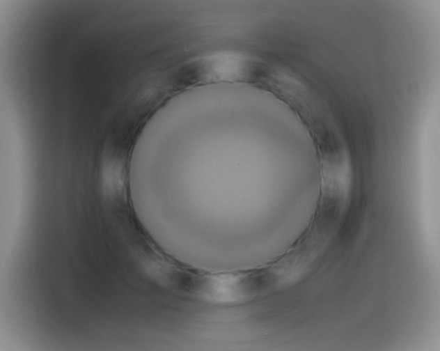 X0000115540701200911061500