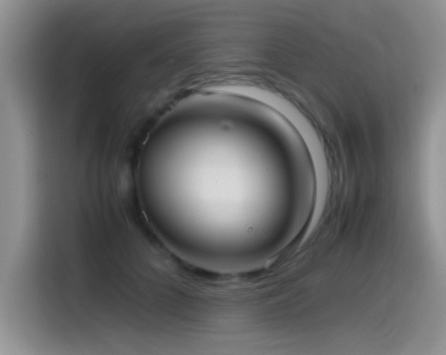 X0000115540704200911061500