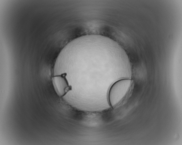 X0000115540709200911061500