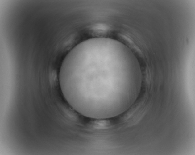 X0000115540711200911061500