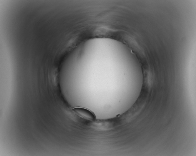 X0000115540712200911061500