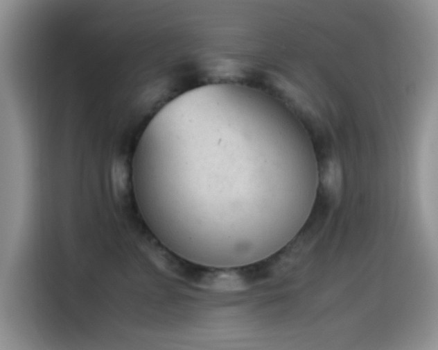 X0000115540715200911061500