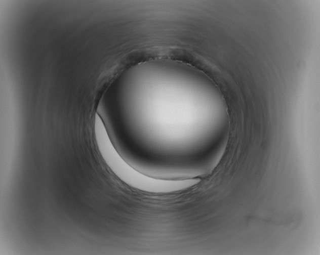 X0000115540720200911061500