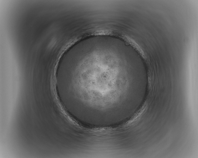 X0000115540721200911061459