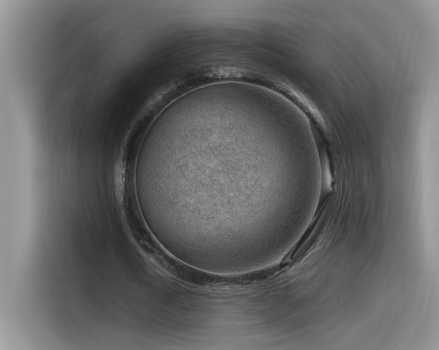 X0000115540722200911061459